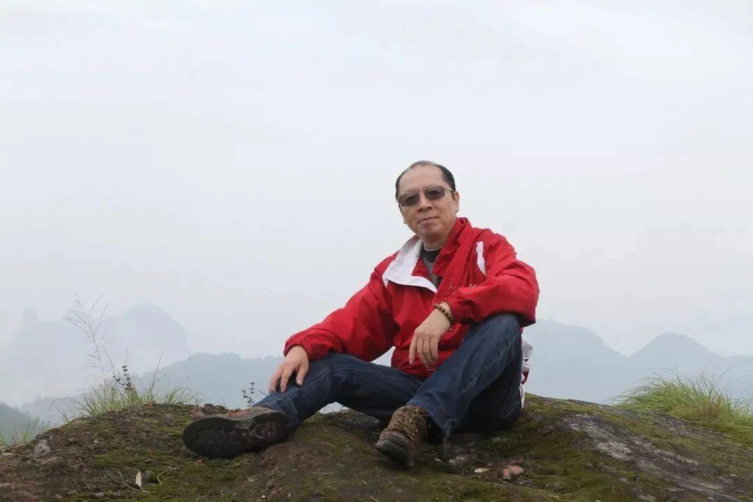 草木低语，岁月成诗——细读《一岁一枯荣》，在植物轮回中安放身心