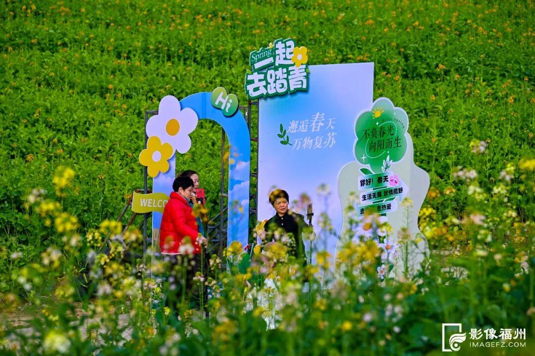 网红花海！福州这个公园的春色藏不住了！