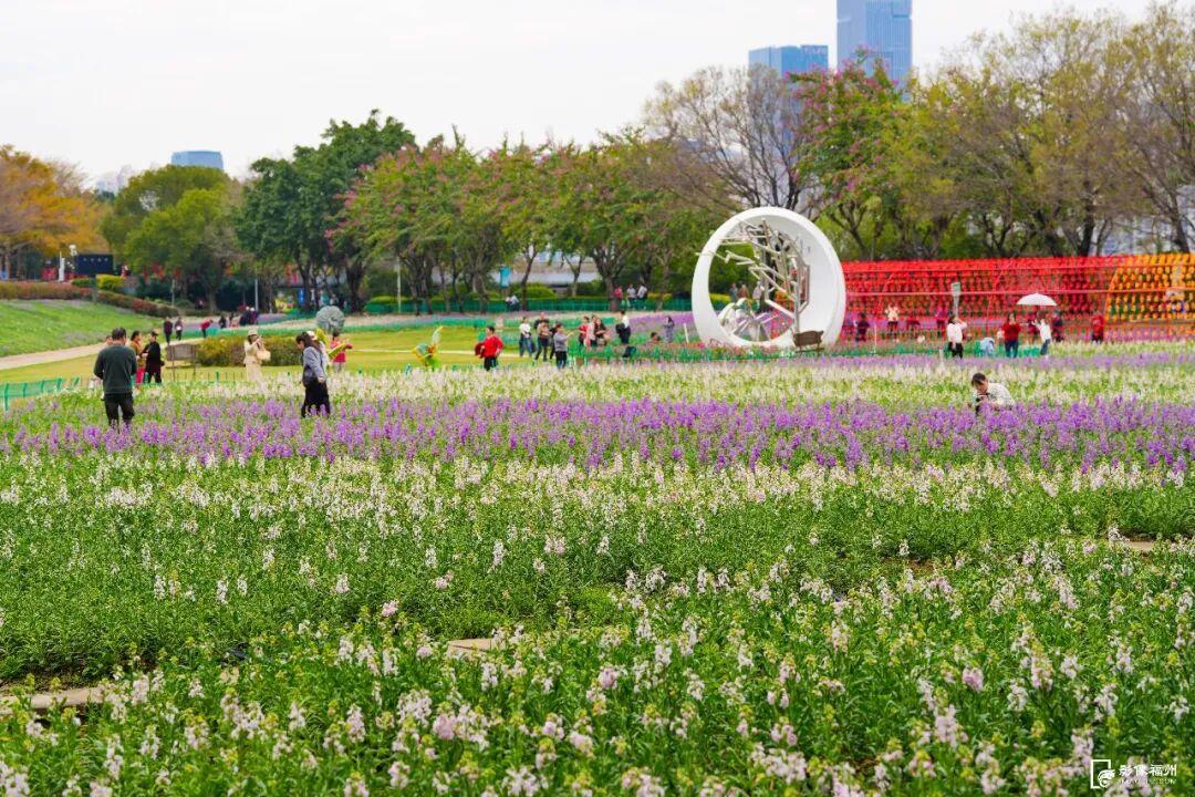网红花海！福州这个公园的春色藏不住了！