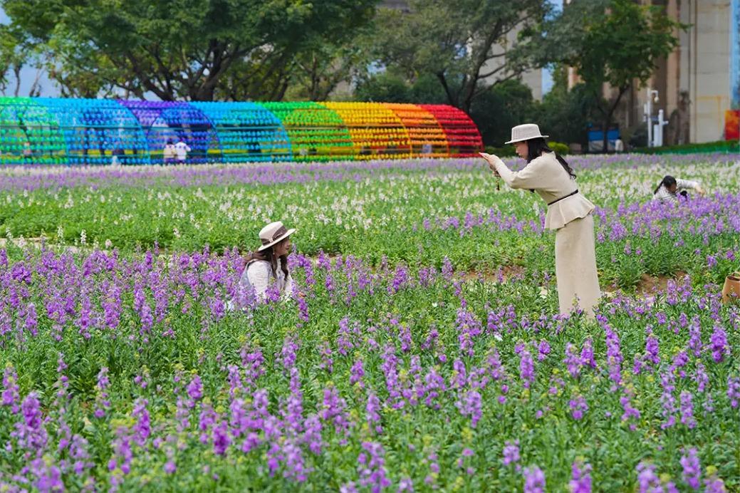 网红花海！福州这个公园的春色藏不住了！
