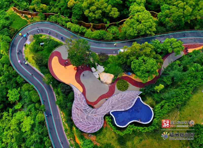 福州，到底有多“绿”？履“植”报告来了！