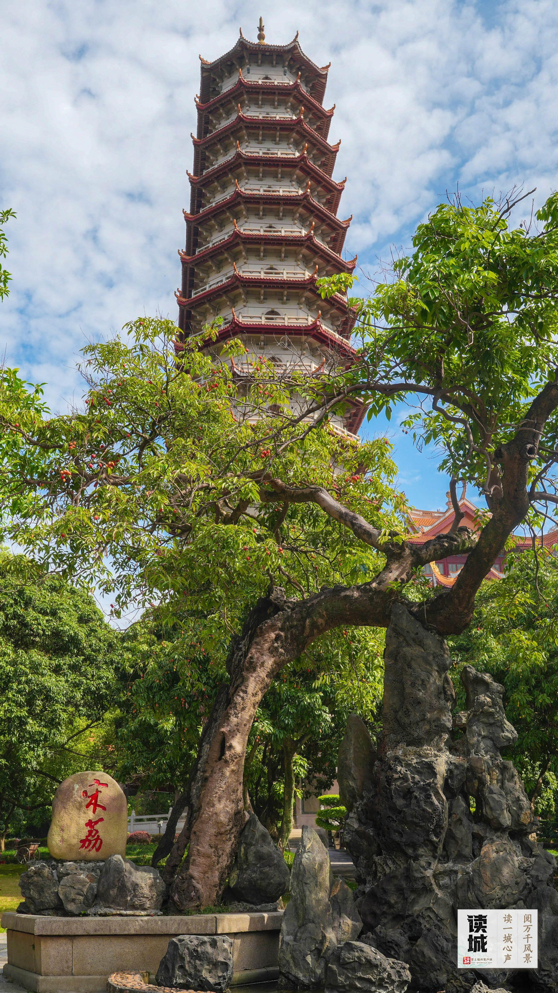 读城 | 今天，一起翻开福州专属“树历”，期待十二次重逢
