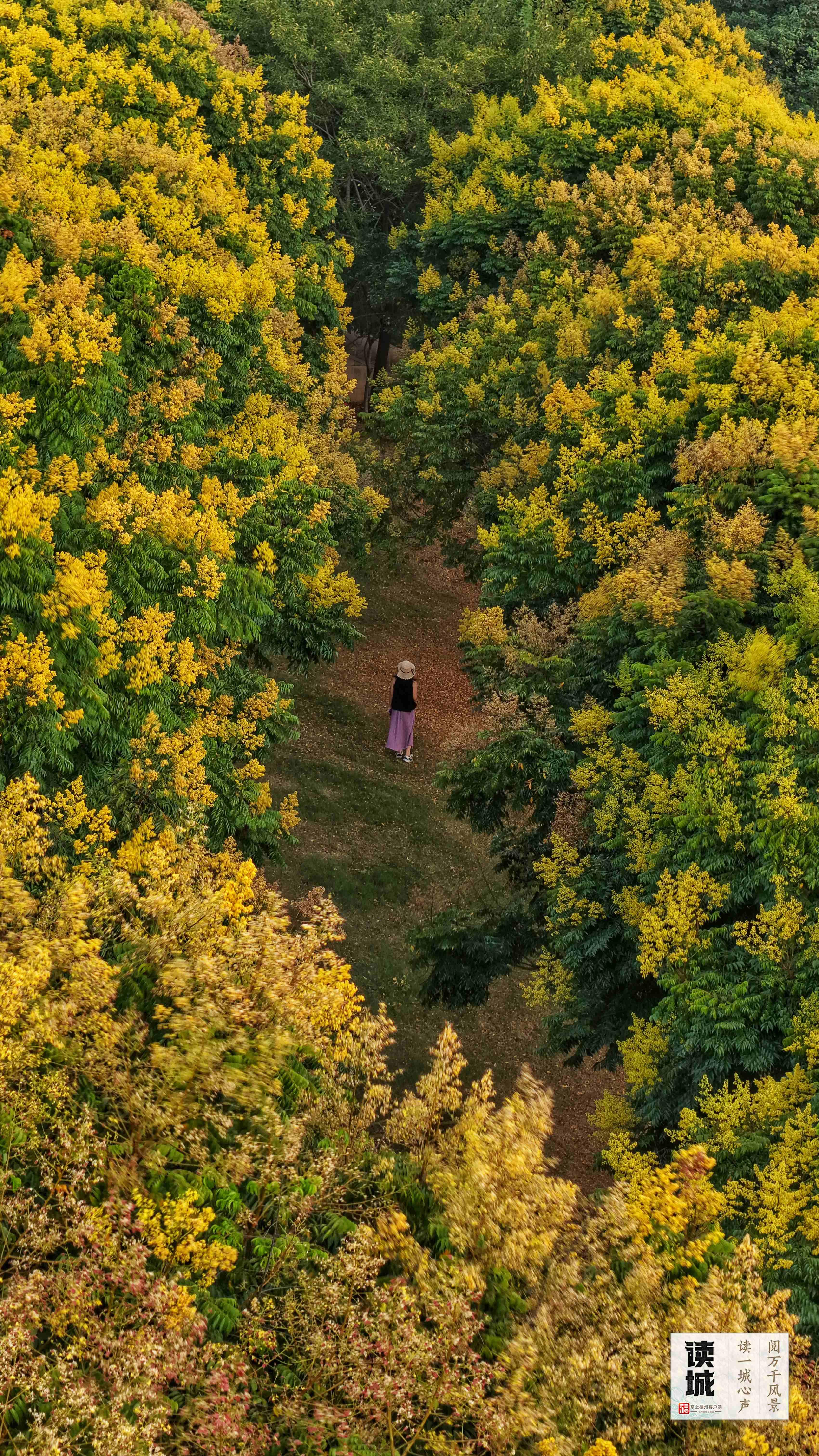 读城 | 今天，一起翻开福州专属“树历”，期待十二次重逢