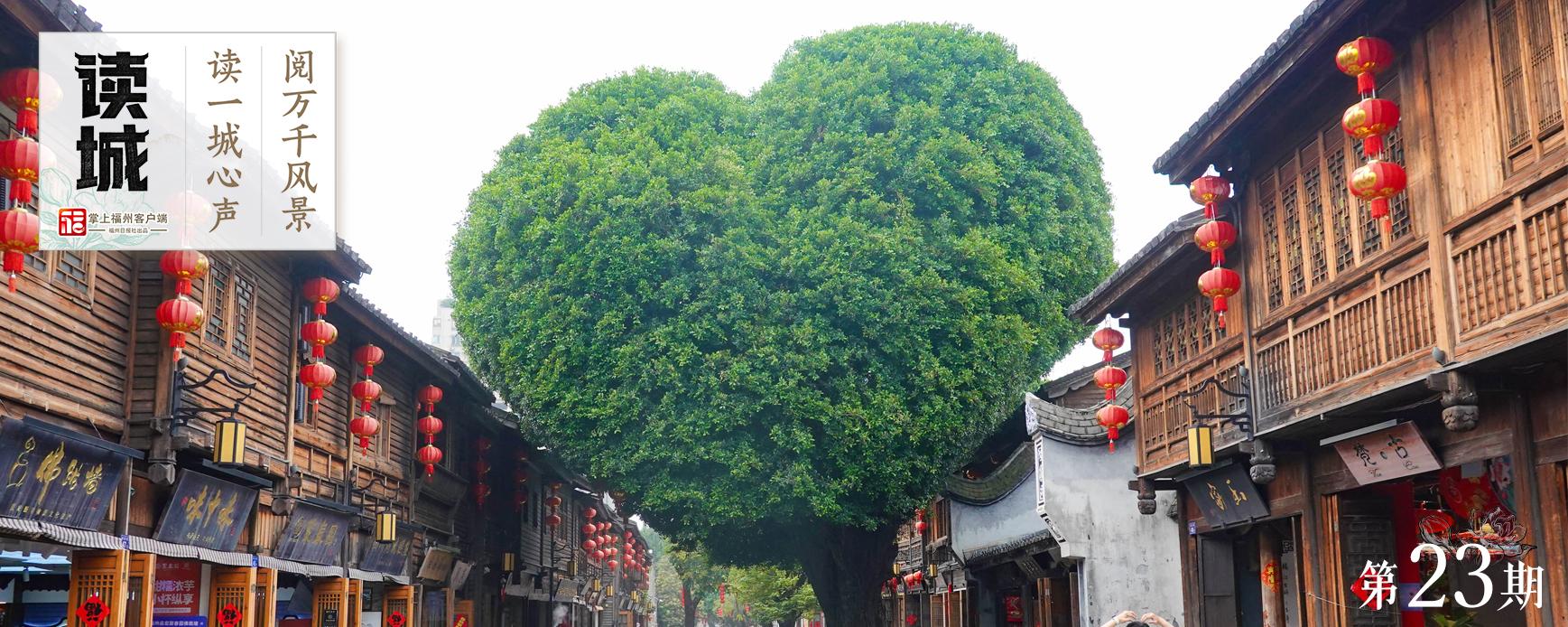 读城 | 今天，一起翻开福州专属“树历”，期待十二次重逢