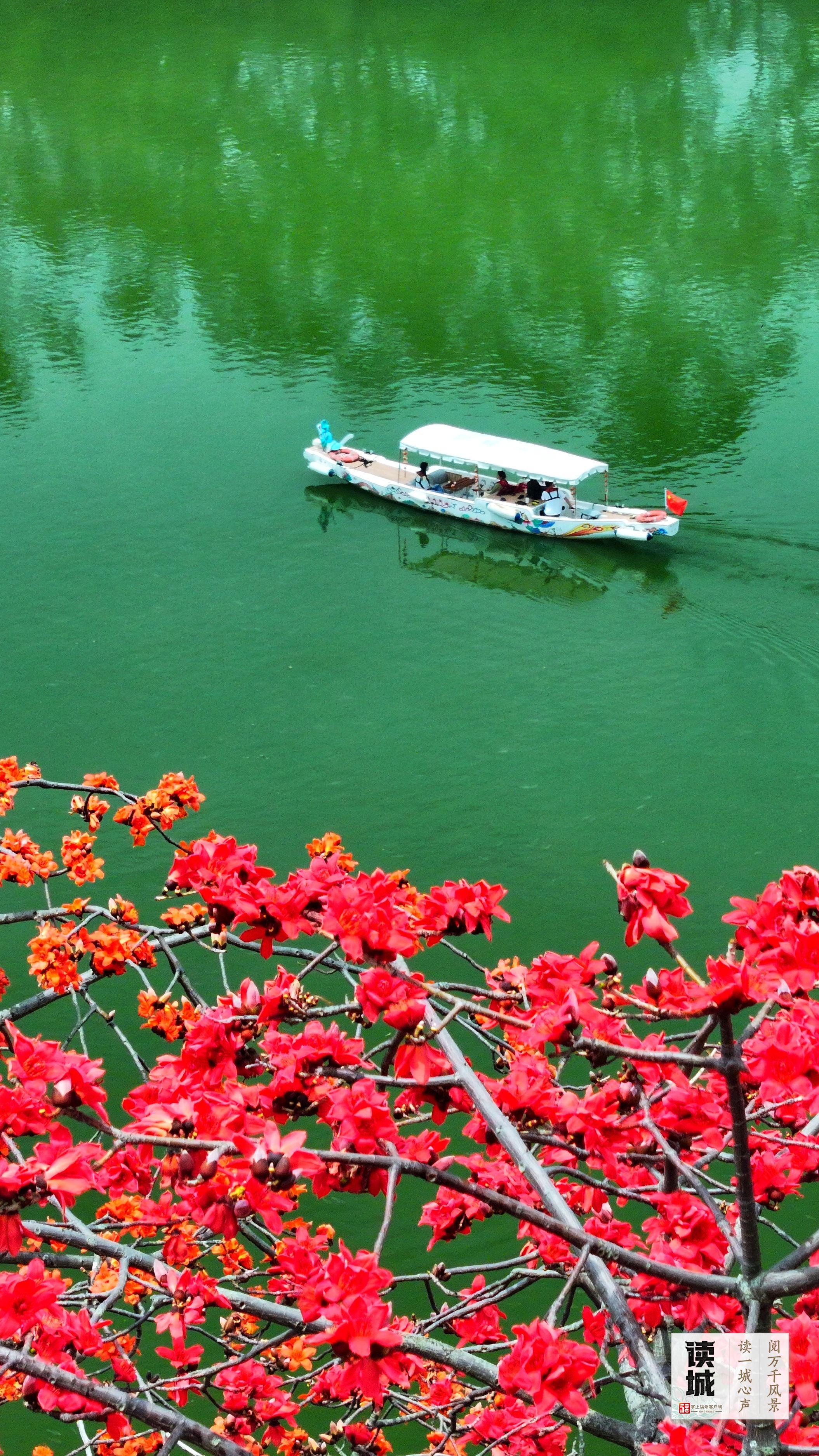 读城 | 今天，一起翻开福州专属“树历”，期待十二次重逢