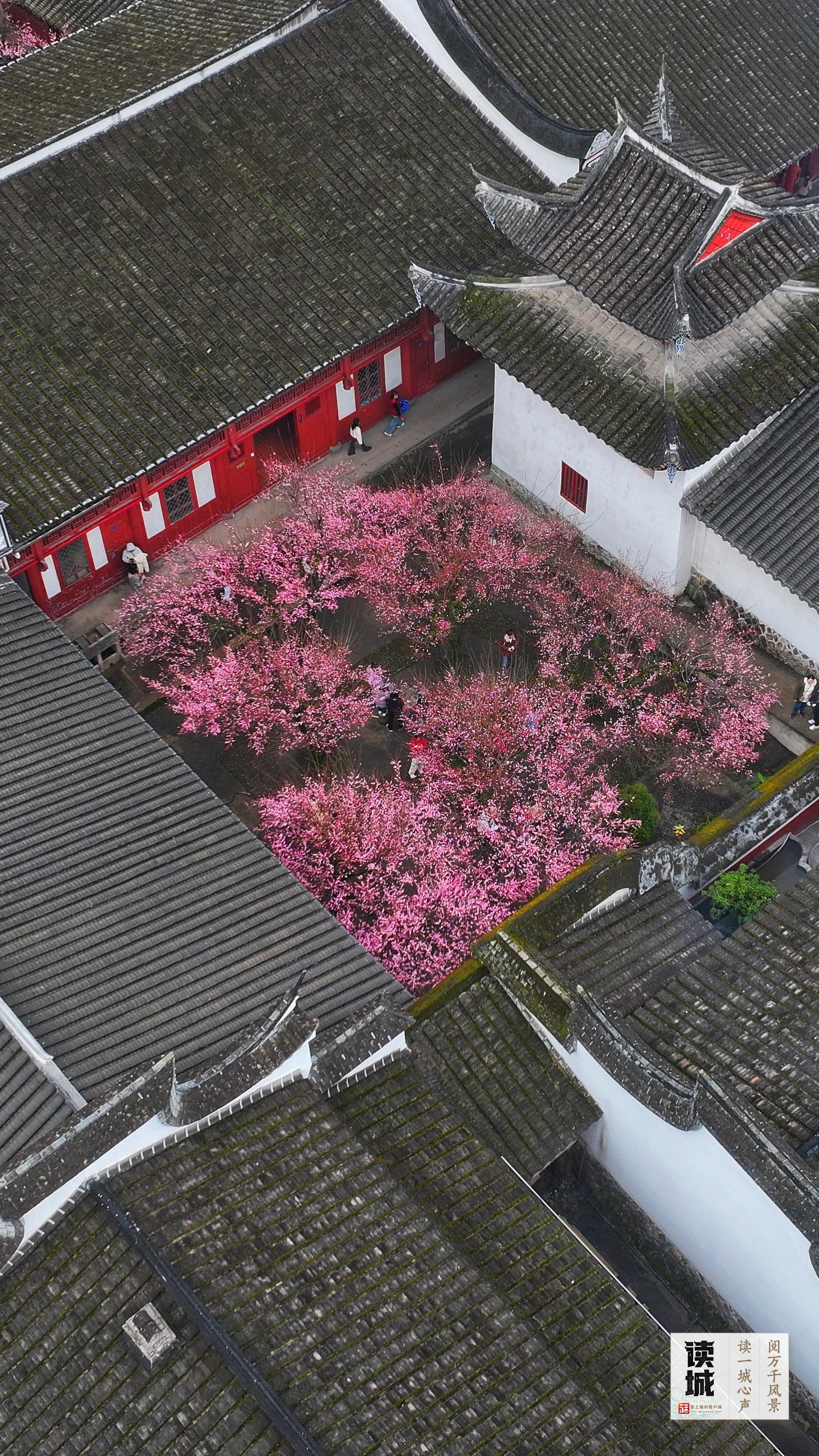 读城 | 今天，一起翻开福州专属“树历”，期待十二次重逢