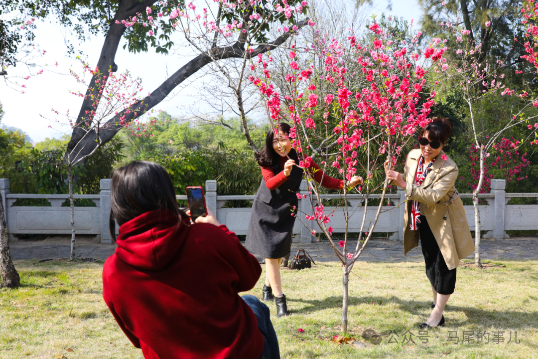 罗星塔公园桃花开了，春日打卡冲鸭！