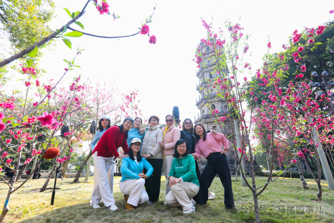 罗星塔公园桃花开了，春日打卡冲鸭！