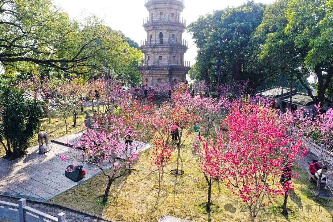 罗星塔公园桃花开了，春日打卡冲鸭！