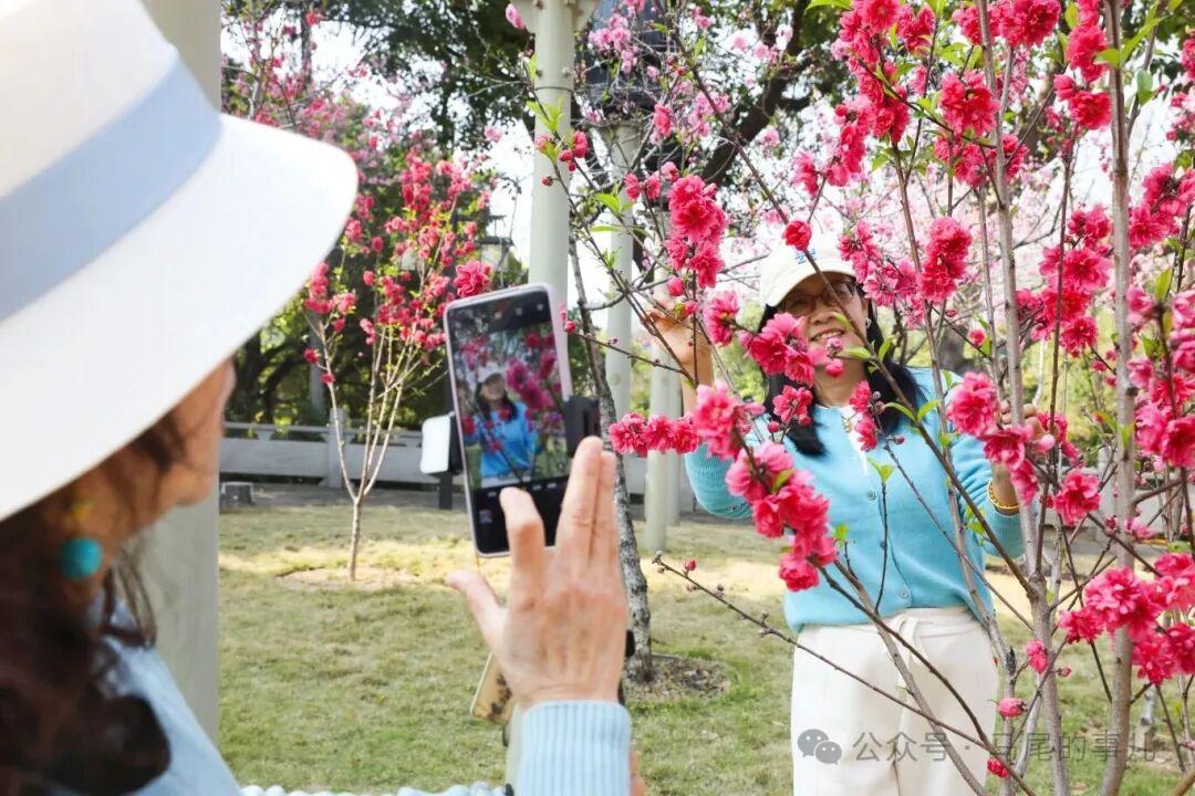 罗星塔公园桃花开了，春日打卡冲鸭！