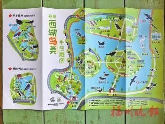 福州西湖鸟类手绘地图出炉