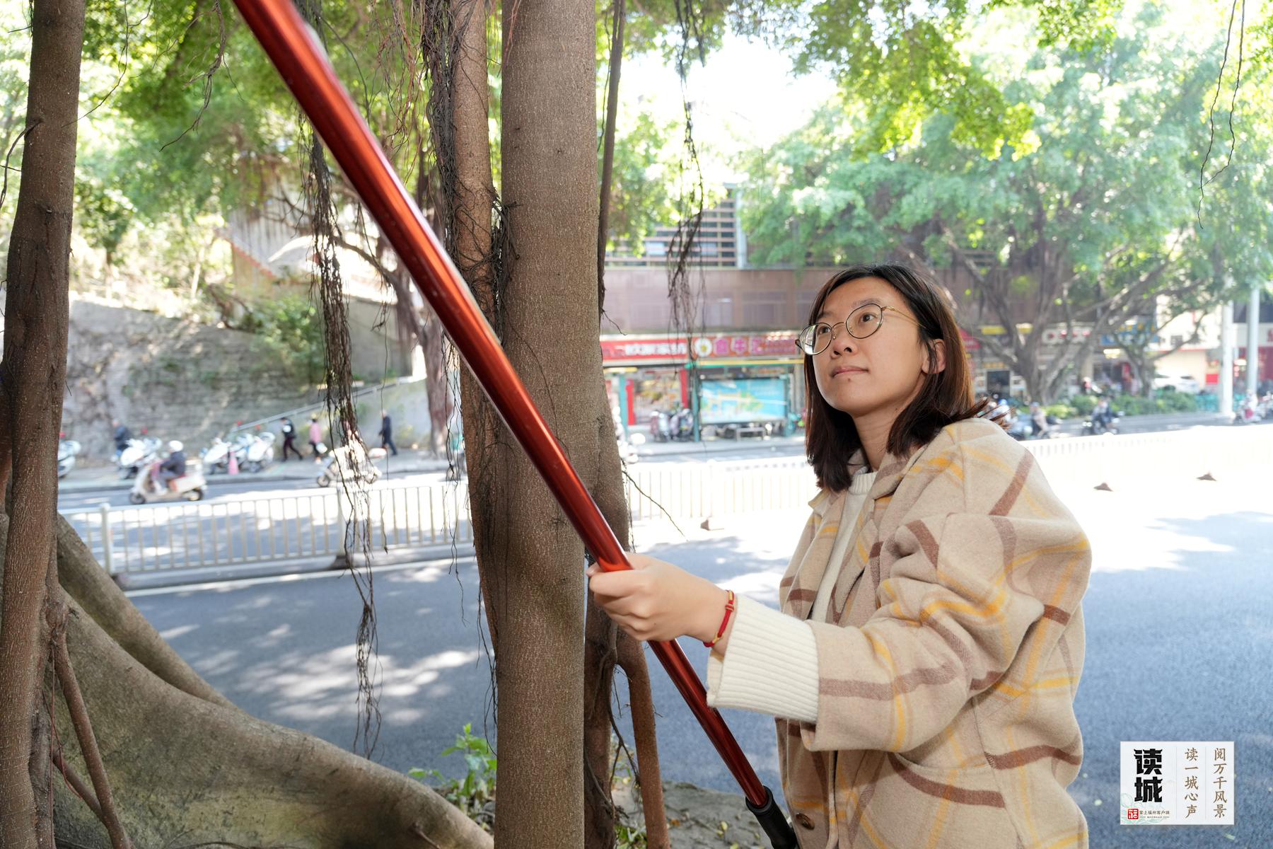 读城 | 真暖，她们把古树宠成了孩子的模样