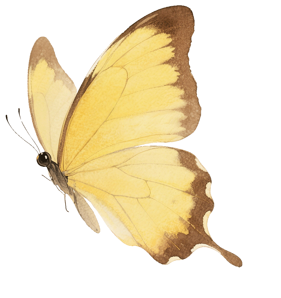 读城 | 真暖，她们把古树宠成了孩子的模样