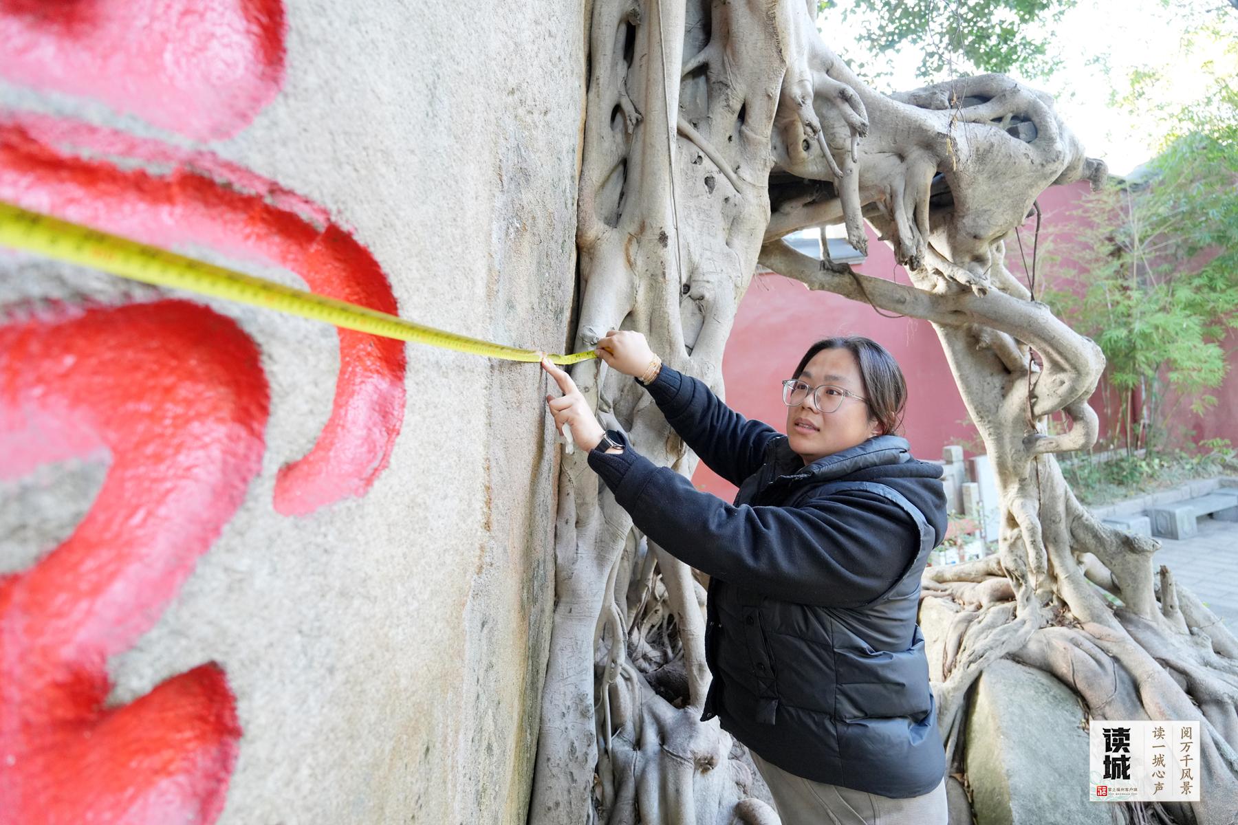 读城 | 真暖，她们把古树宠成了孩子的模样