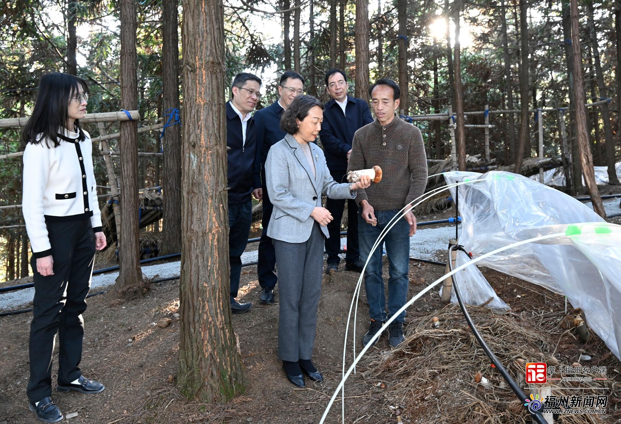 郭宁宁赴永泰县调研