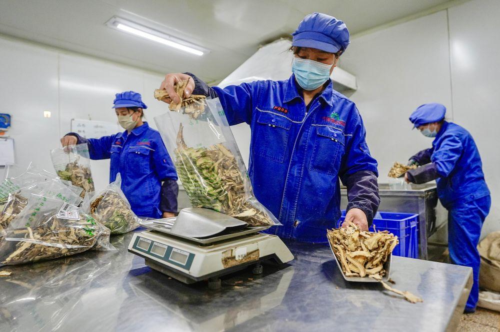 习近平总书记同人大代表、政协委员共商国是纪实