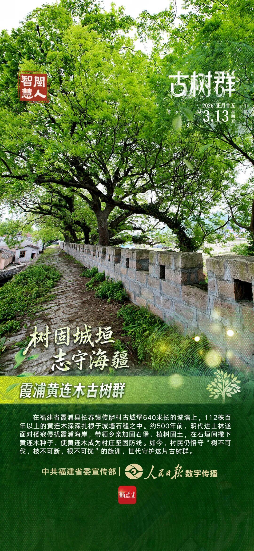 闽人智慧｜树固城垣 志守海疆