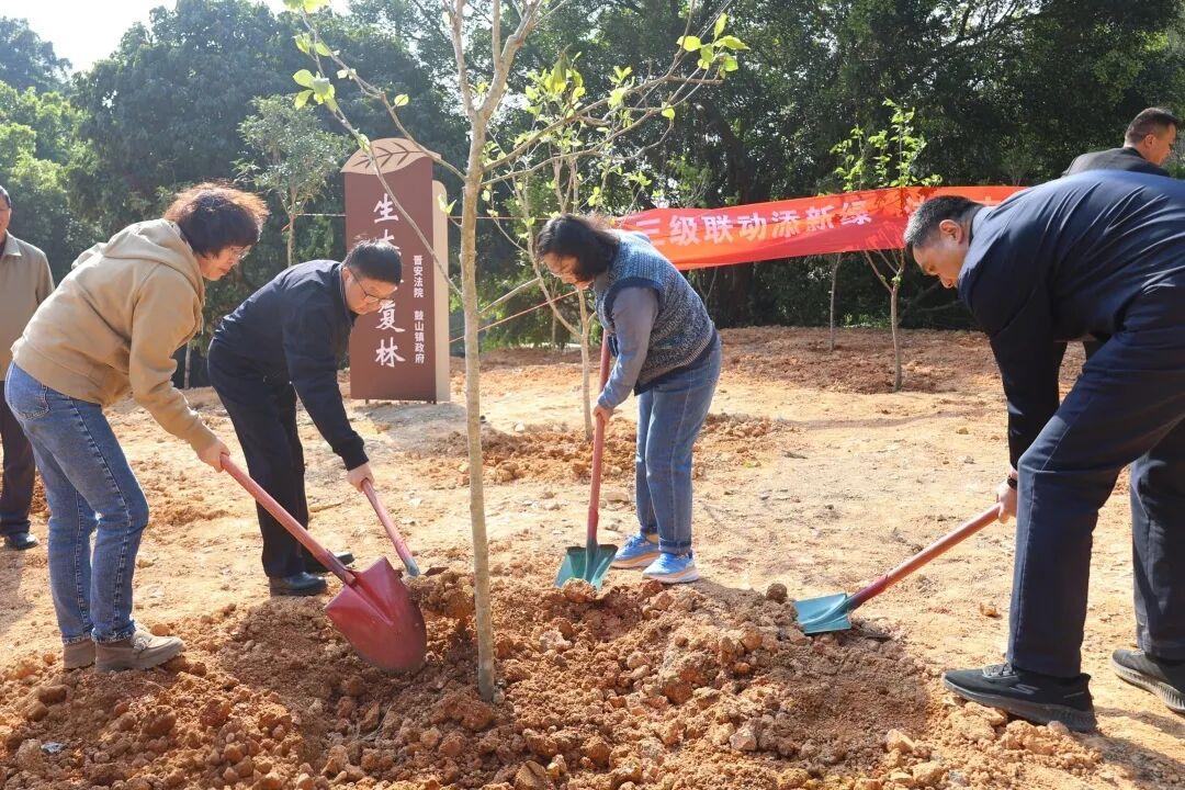 晋安:三级联动添新绿 法治守护闽山青 晋安:三级联动添新绿 法治守护闽山青