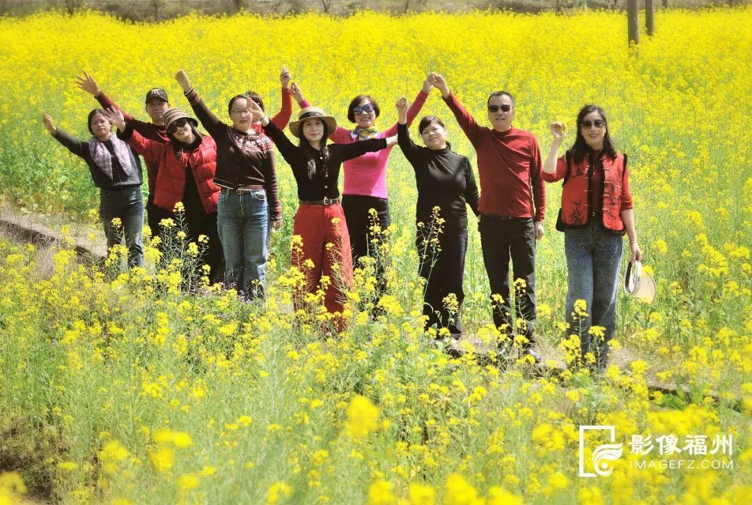 又一种花海加入“色彩交响曲”！赏花去！