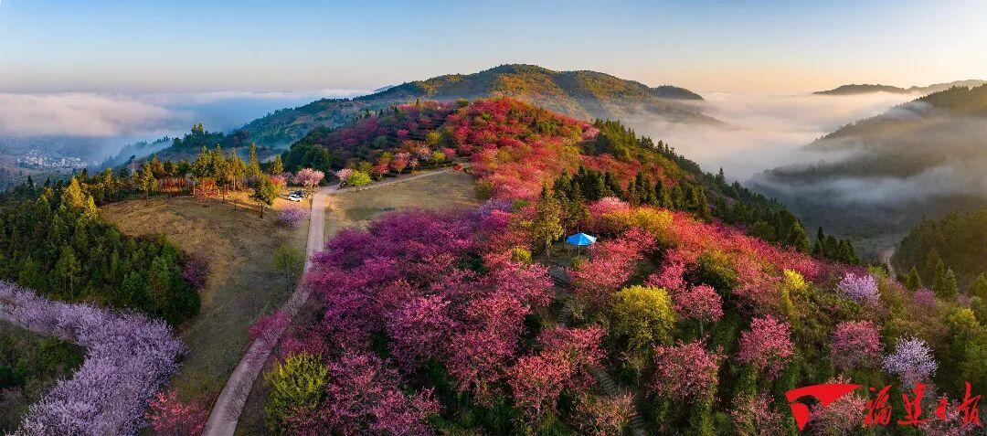 最高29℃！春意渐浓，福建未来天气……