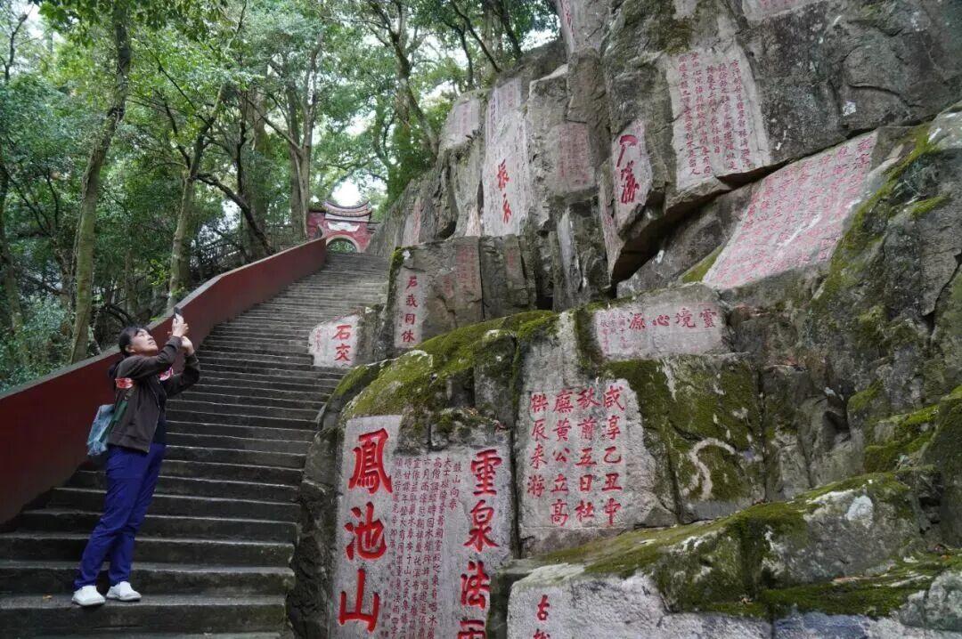 太惬意了！来晋安，“逛春日”！