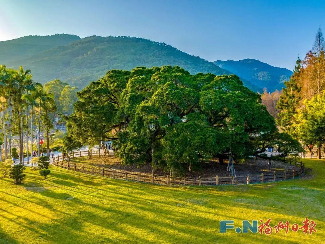 太惬意了！来晋安，“逛春日”！