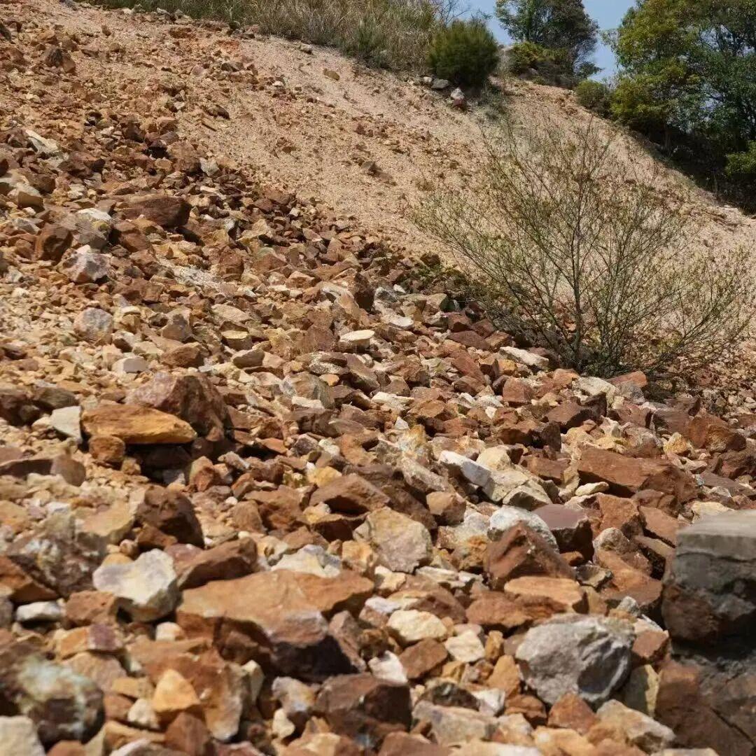 太惬意了！来晋安，“逛春日”！
