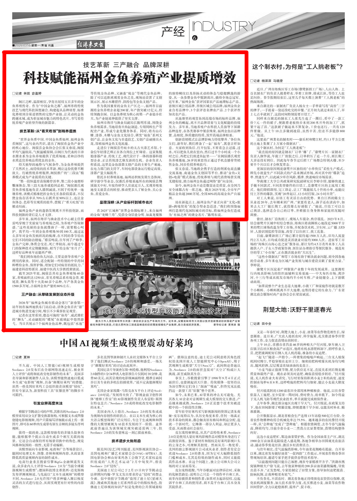 技艺革新、三产融合、品牌深耕 科技赋能福州金鱼养殖产业提质增效