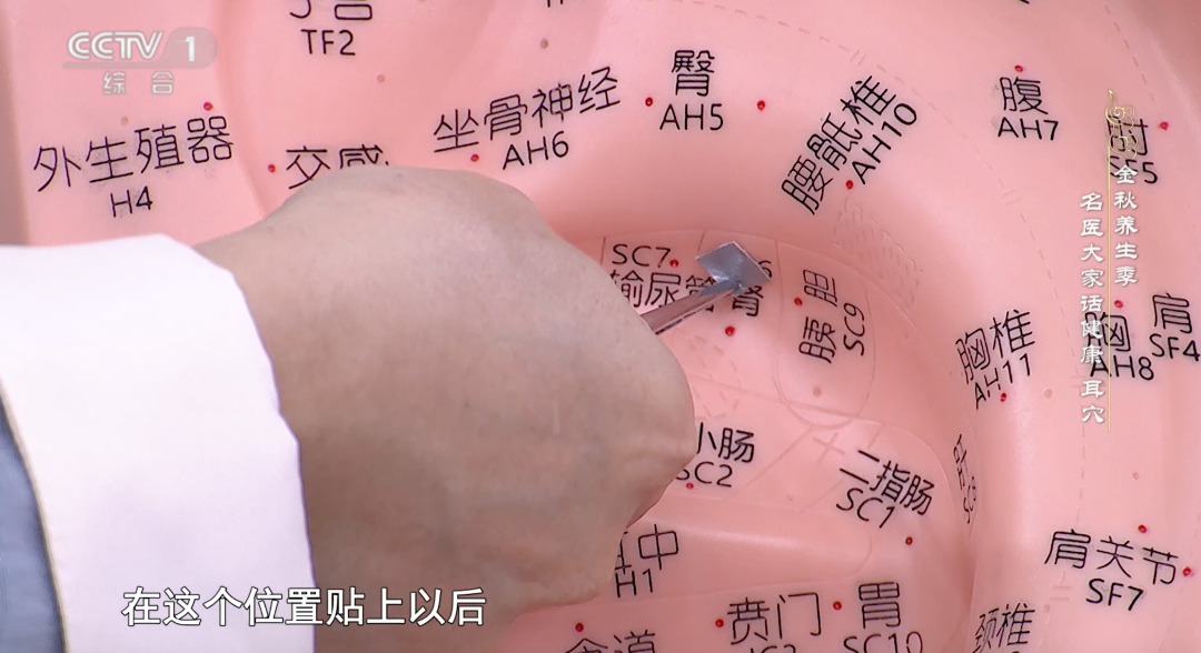 好医声|老人耳道藏70余条蛆 医生提醒:乱掏耳朵隐患大 好医声|老人耳道藏70余条蛆 医生提醒:乱掏耳朵隐患大