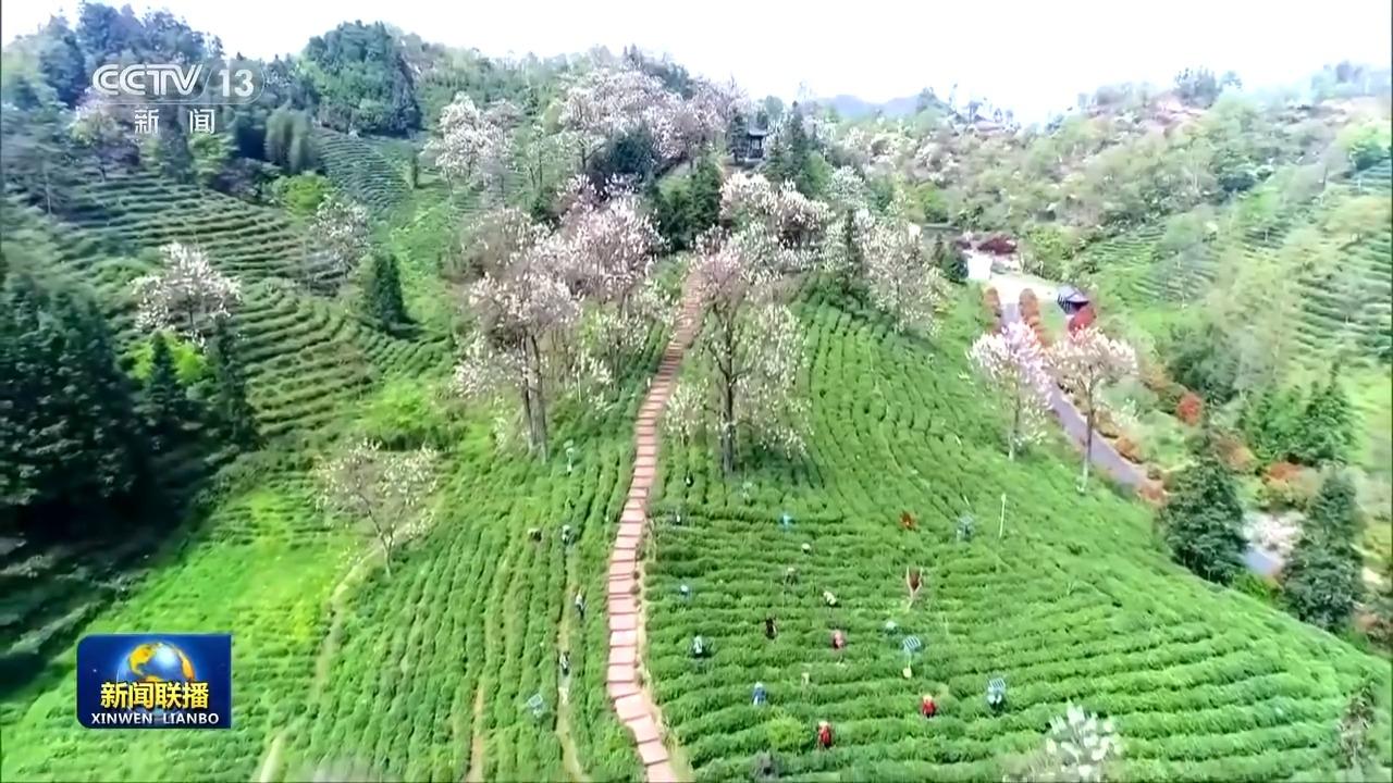 奋力实现“十五五”良好开局丨厚植中国式现代化民生底色