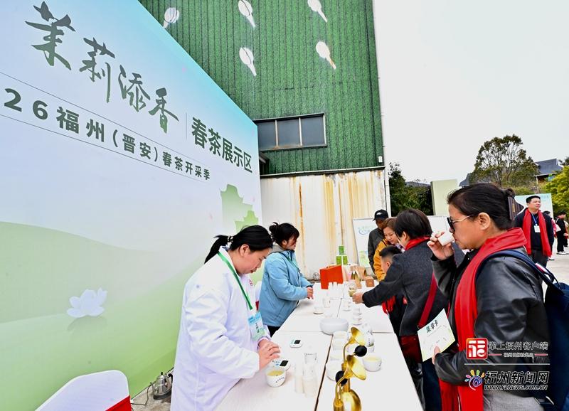 山海来讯|福州春茶开采!一起看春山上的新茶事 山海来讯|福州春茶开采!一起看春山上的新茶事