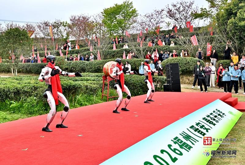 山海来讯|福州春茶开采!一起看春山上的新茶事 山海来讯|福州春茶开采!一起看春山上的新茶事