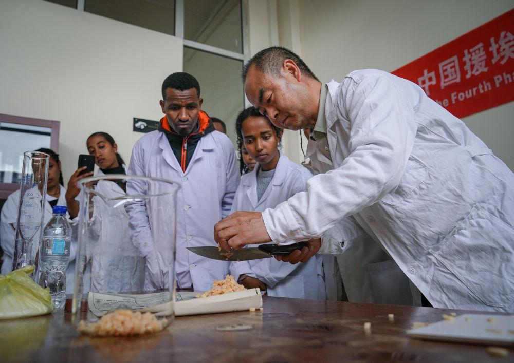 照亮人类共同未来——全球文明倡议的世界共鸣