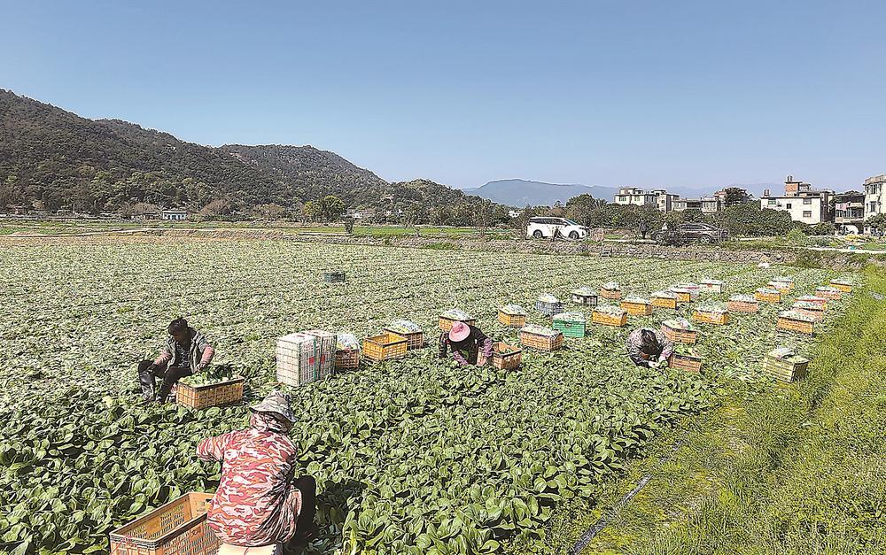 闽侯建成高标准农田10.28万亩