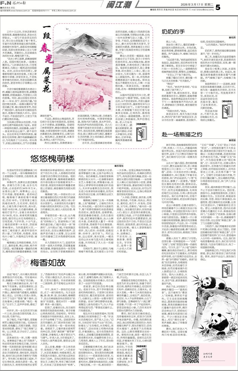 百姓茶摊｜赴一场熊猫之约