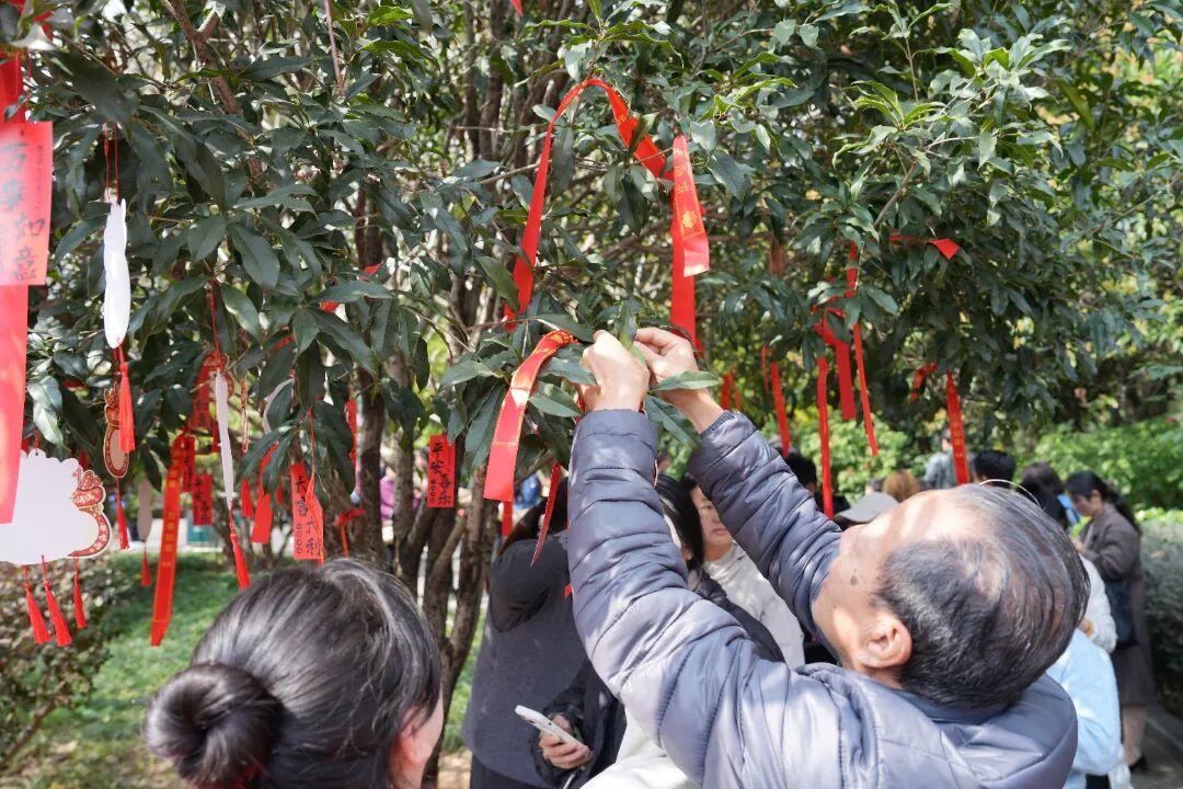 好！甜！啊！晋安满城飘香！