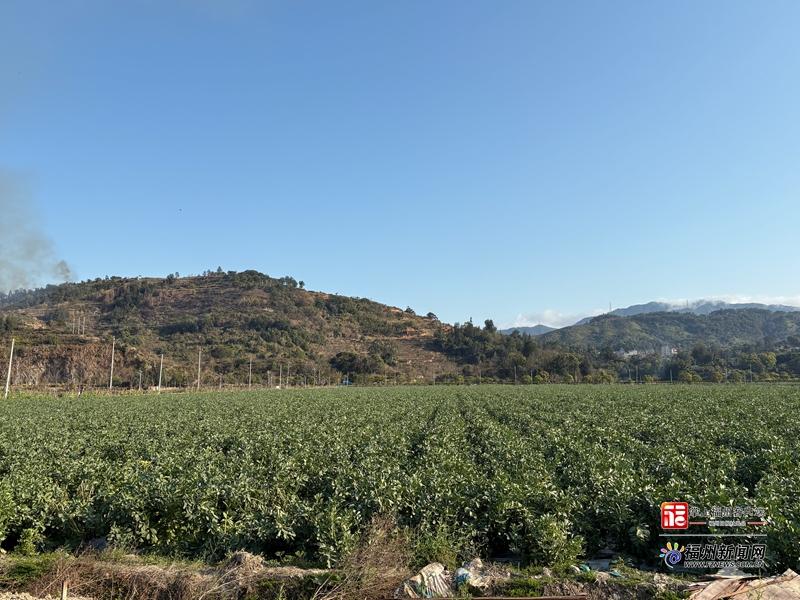 山海来讯｜万象“耕”新！看福州供销系统如何“一条龙”服务春耕