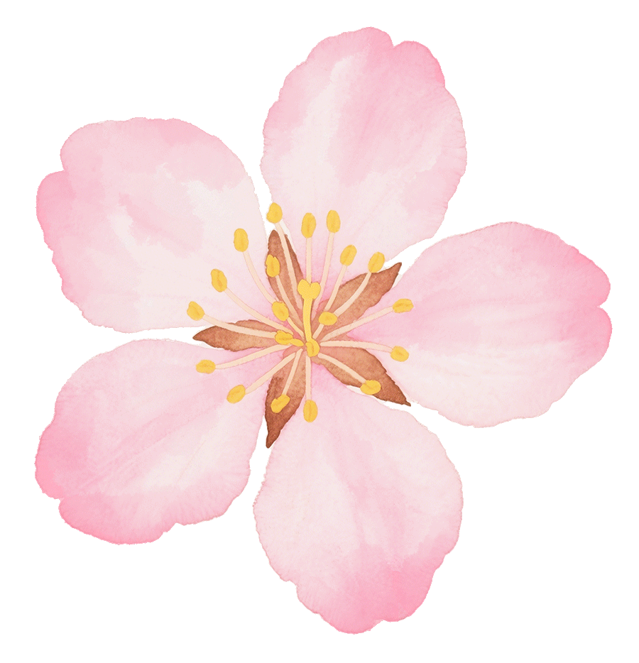 山海来讯｜万象“耕”新！看福州供销系统如何“一条龙”服务春耕