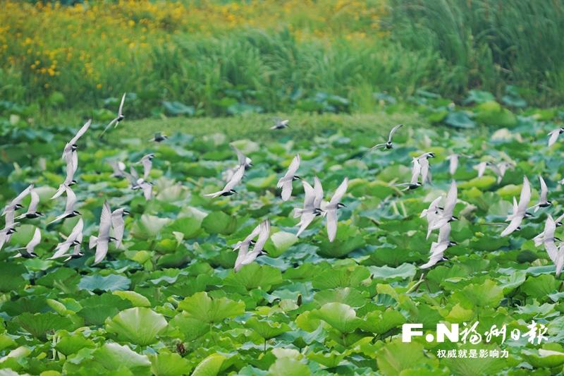 中国地市报研究会第九届会员代表大会暨“百家党媒社长总编宜昌行”侧记