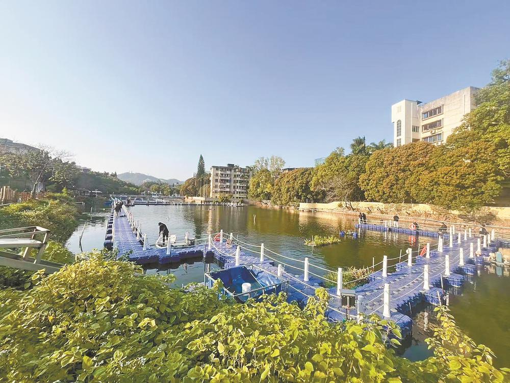 福州兴起路亚钓鱼：一竿一线“钓”起大市场