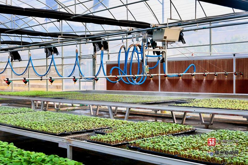县在发生｜满满“科技范”！福州春耕“卷”起来了