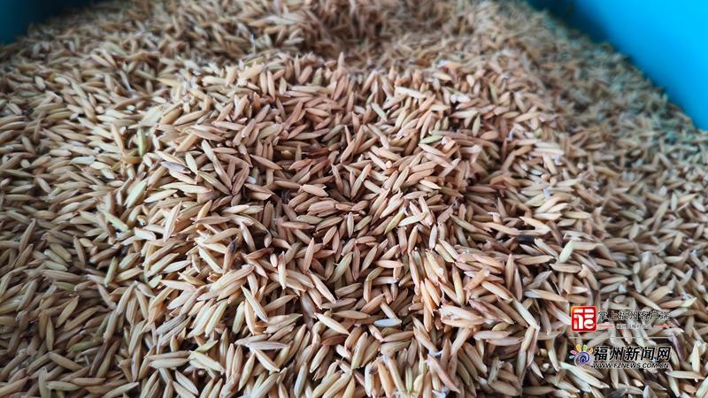 县在发生｜满满“科技范”！福州春耕“卷”起来了