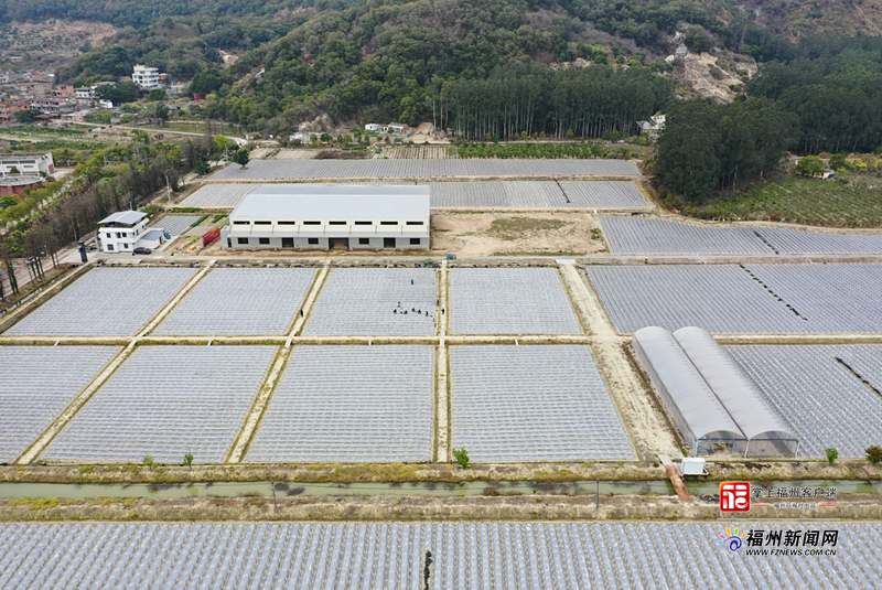 县在发生｜满满“科技范”！福州春耕“卷”起来了