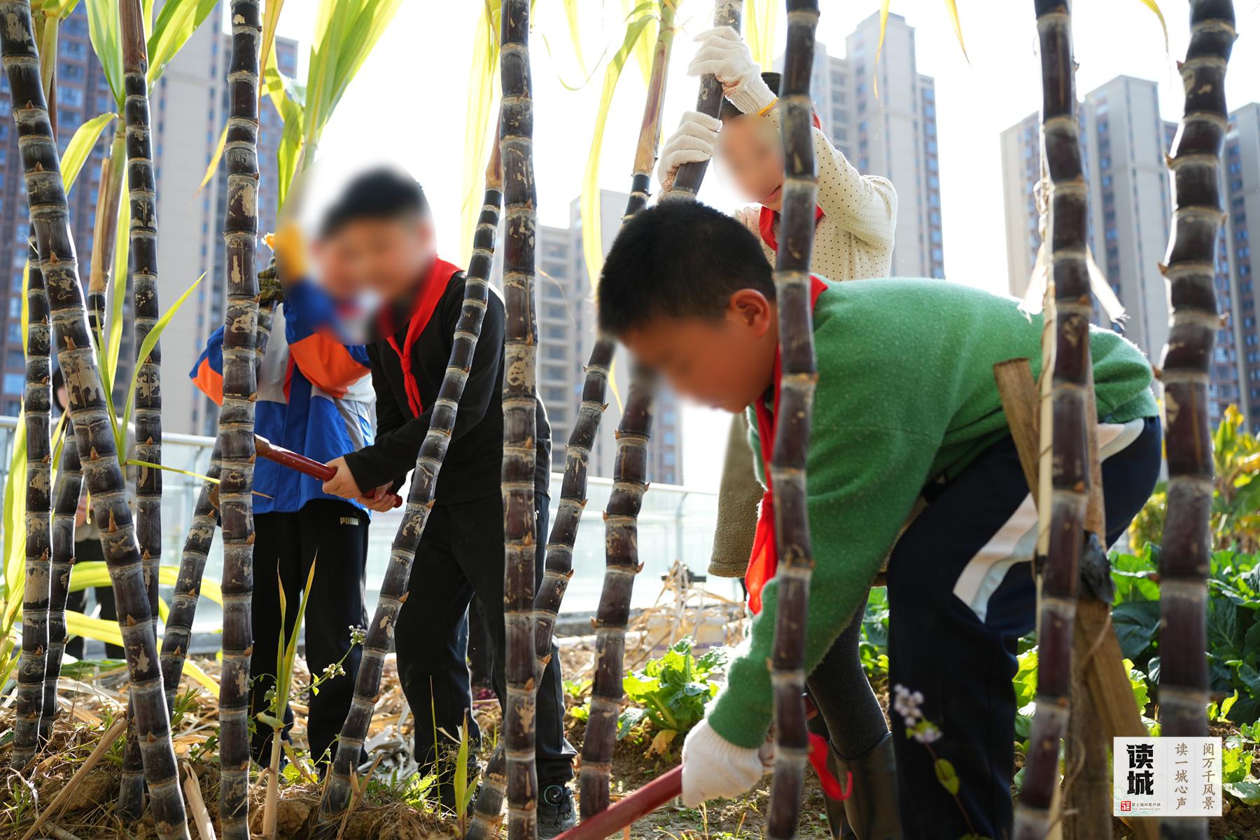 读城｜今日春分！恰逢一城花开，平分这份美好