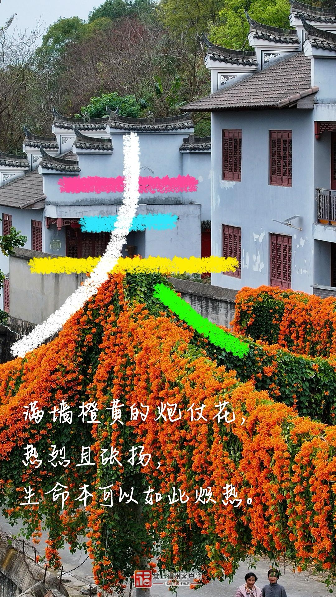 春分日，在福州找到了N个春日模样！