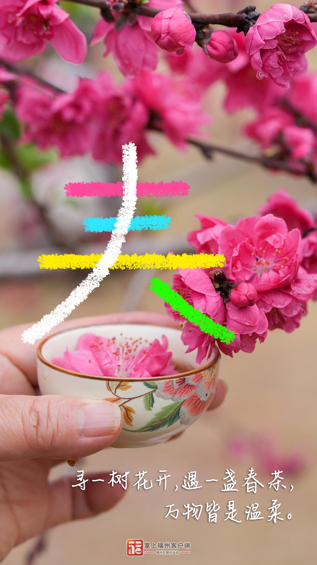 春分日，在福州找到了N个春日模样！