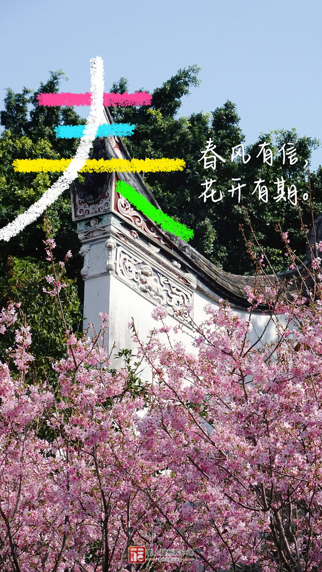 春分日，在福州找到了N个春日模样！