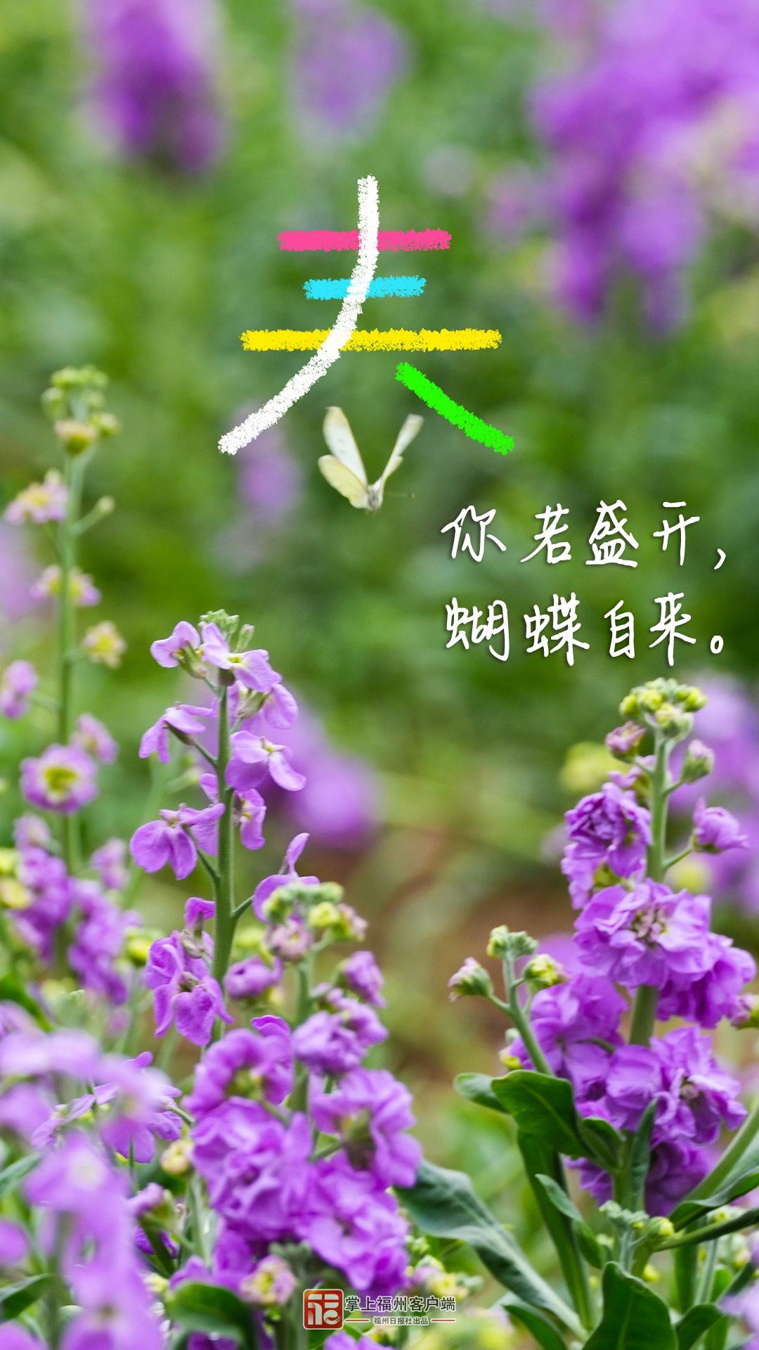 春分日，在福州找到了N个春日模样！