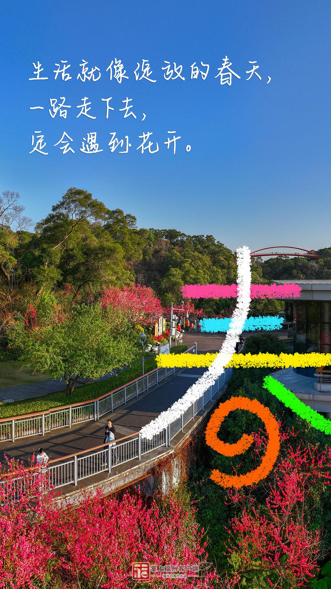 春分日，在福州找到了N个春日模样！