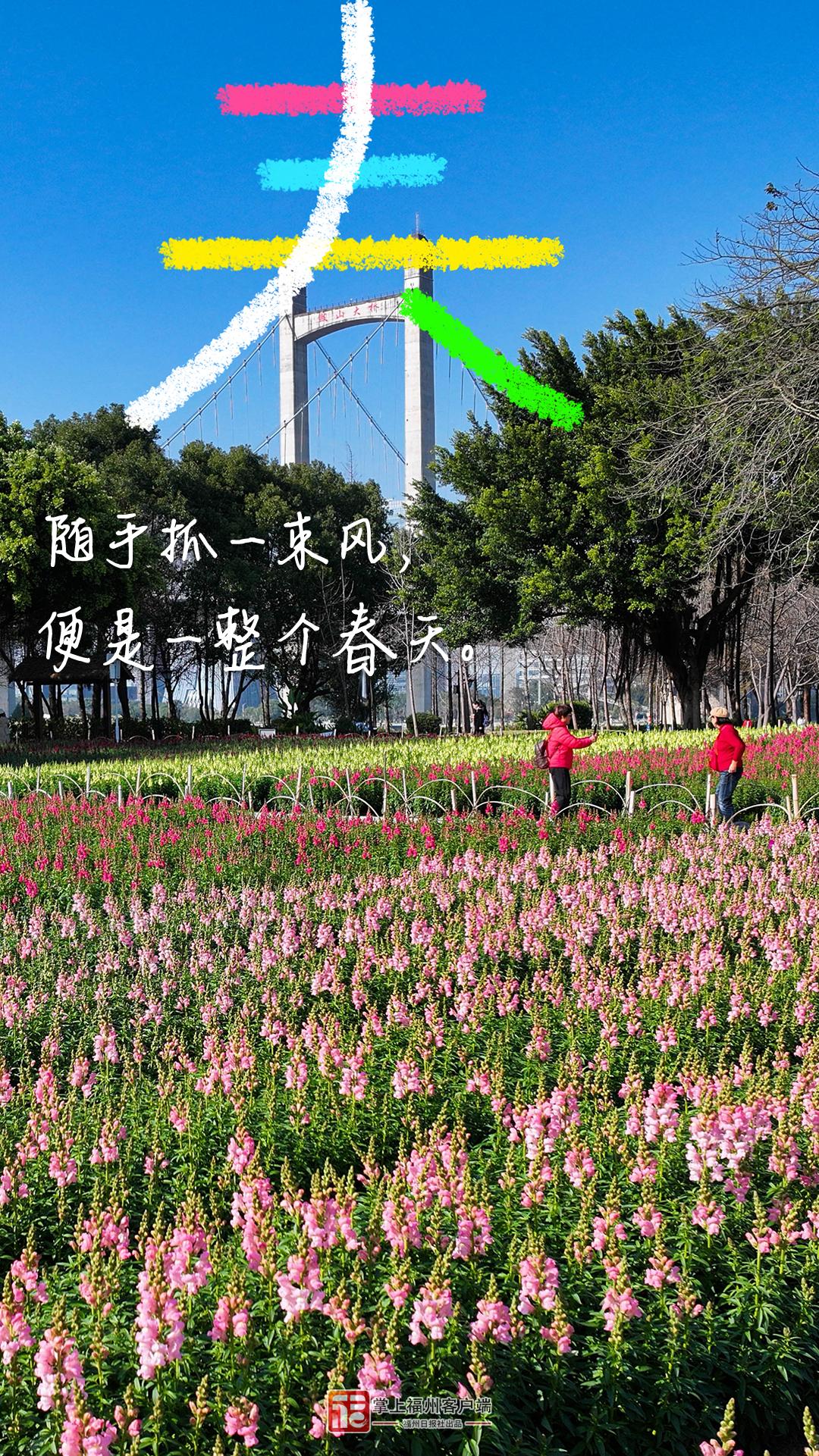 春分日，在福州找到了N个春日模样！